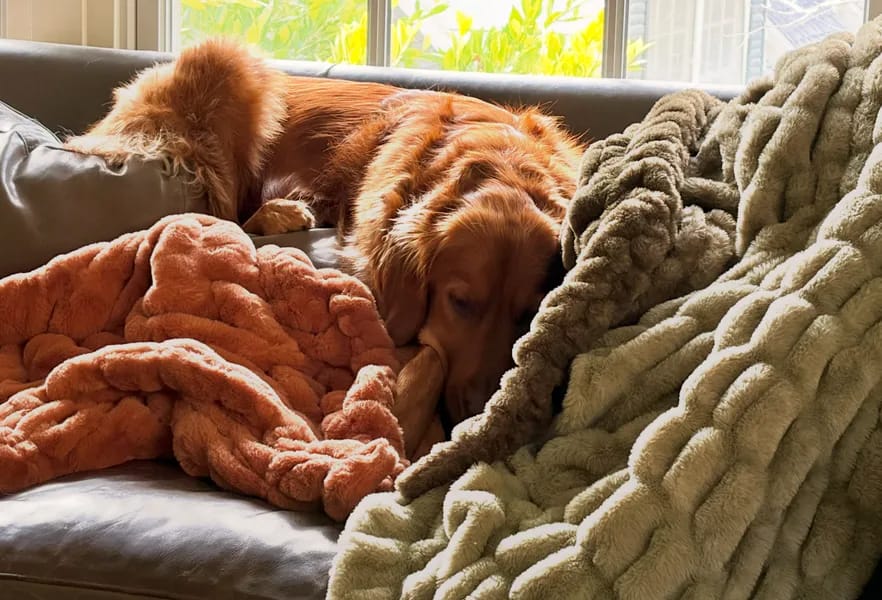 Customer photo review of Cloud Blanket