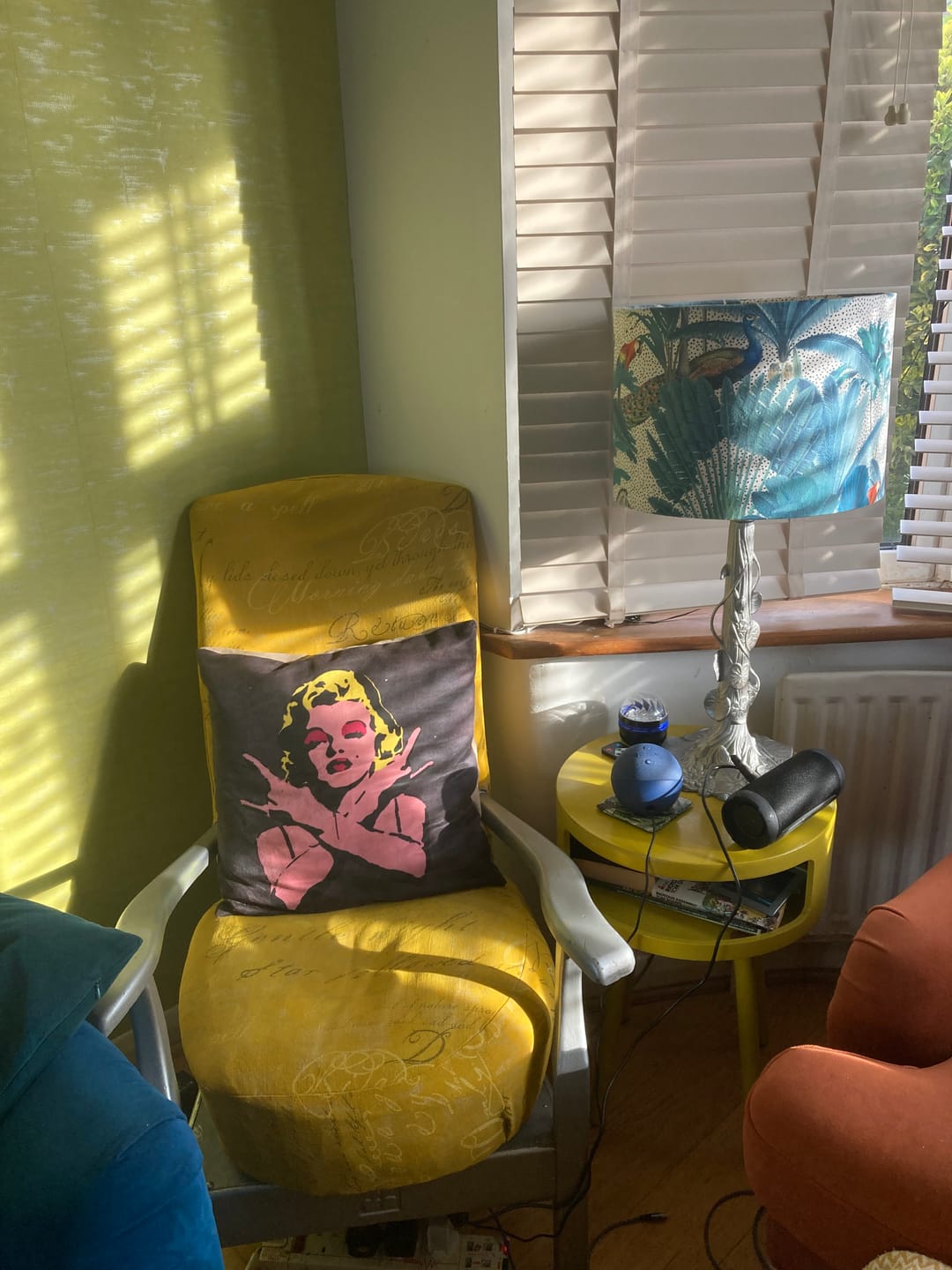 Customer photo review of Fabric Paint -- Mustard Yellow