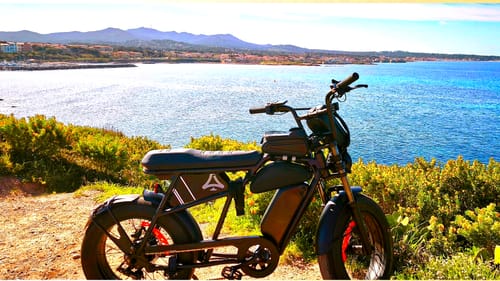 Customer photo review of CAVET Air