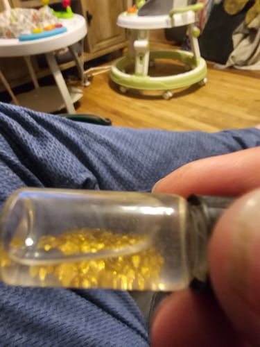 Customer photo review of 5 Lb. NUGGET RESERVE™ ‘Specimen Elite’ - Gold Paydirt