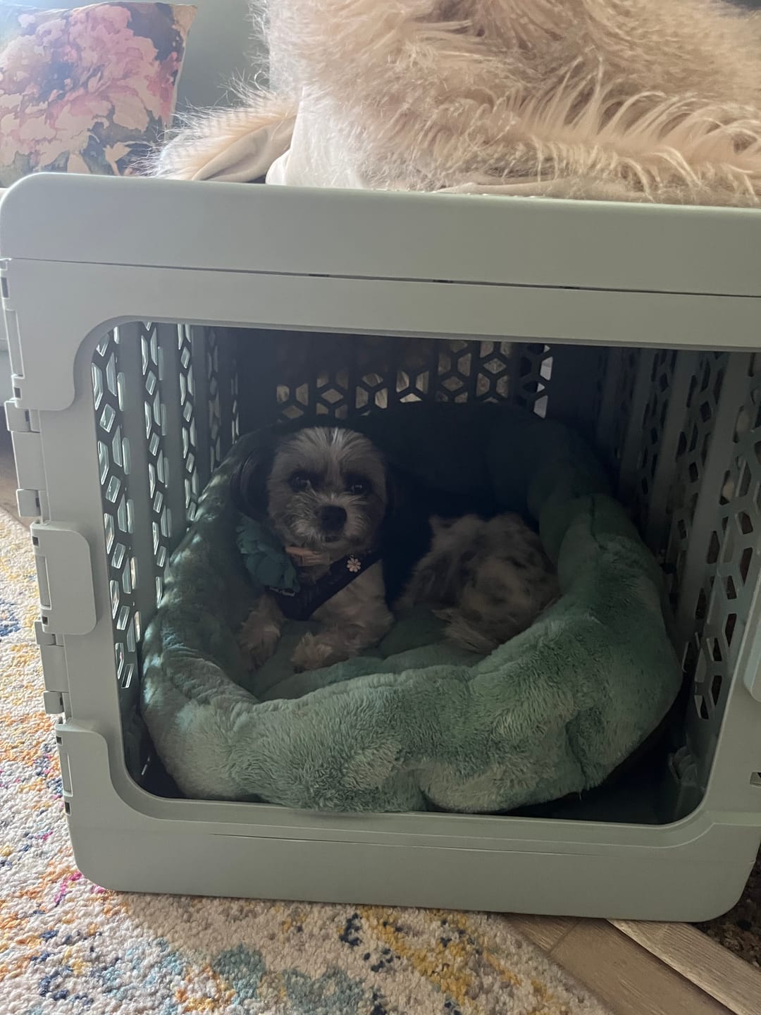 Customer photo review of Calming Lounger Dog Bed