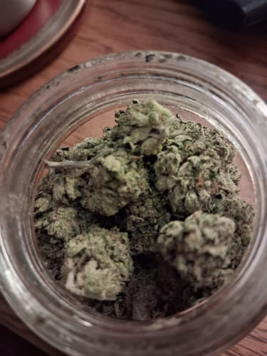 Customer's close-up of the Mystery Gift, showing dried green buds inside a glass jar.