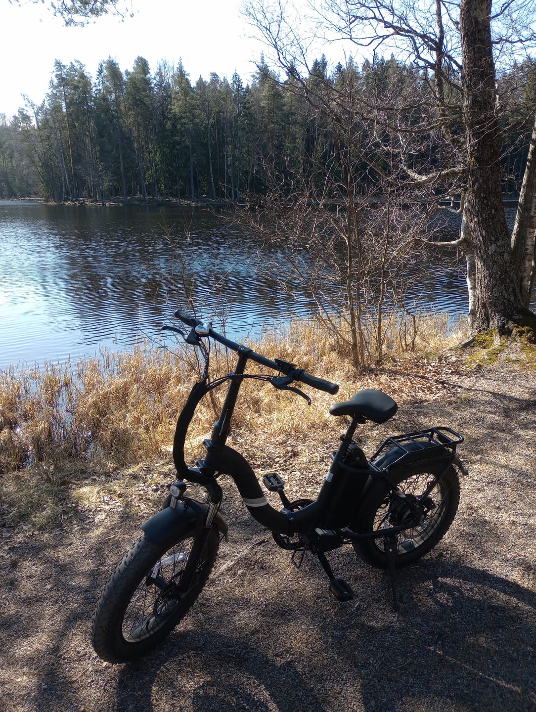 Customer photo review of Touroll S2 Folding Fat Tire Electric Bike