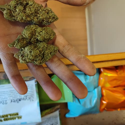 Customer photo review of Cheap THCA Flower Ounce