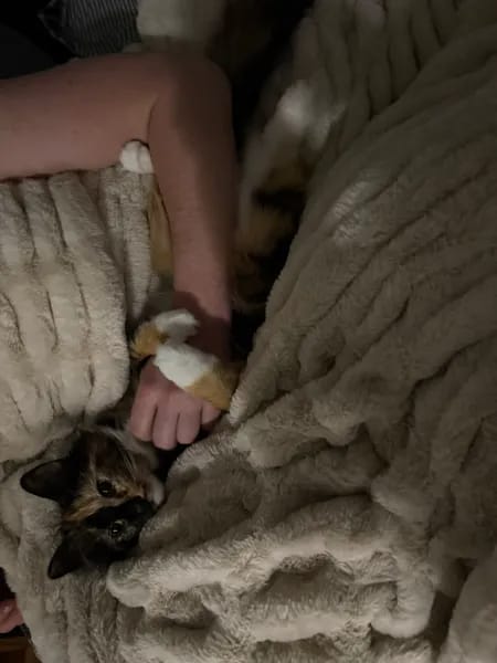 Customer photo review of Cloud Blanket