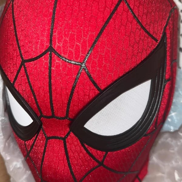 Customer photo review of Spider-Man: Brand New Day Life Size Wearable Mask (Cosplay Version)
