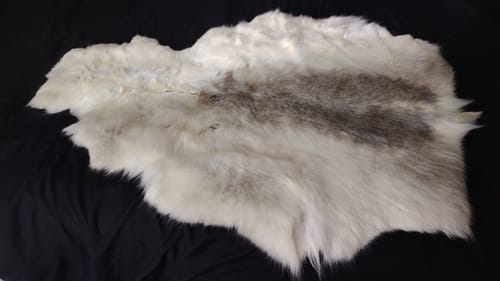 Customer photo review of XL Reindeer Fur Hide