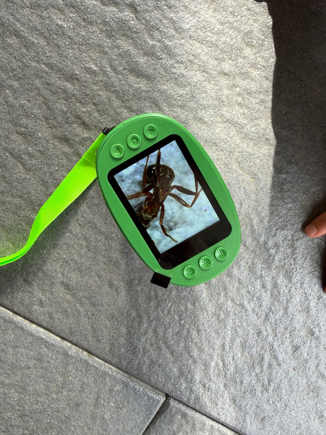 Customer photo review of Edubini Gefunden!® Outdoor Suchspiel