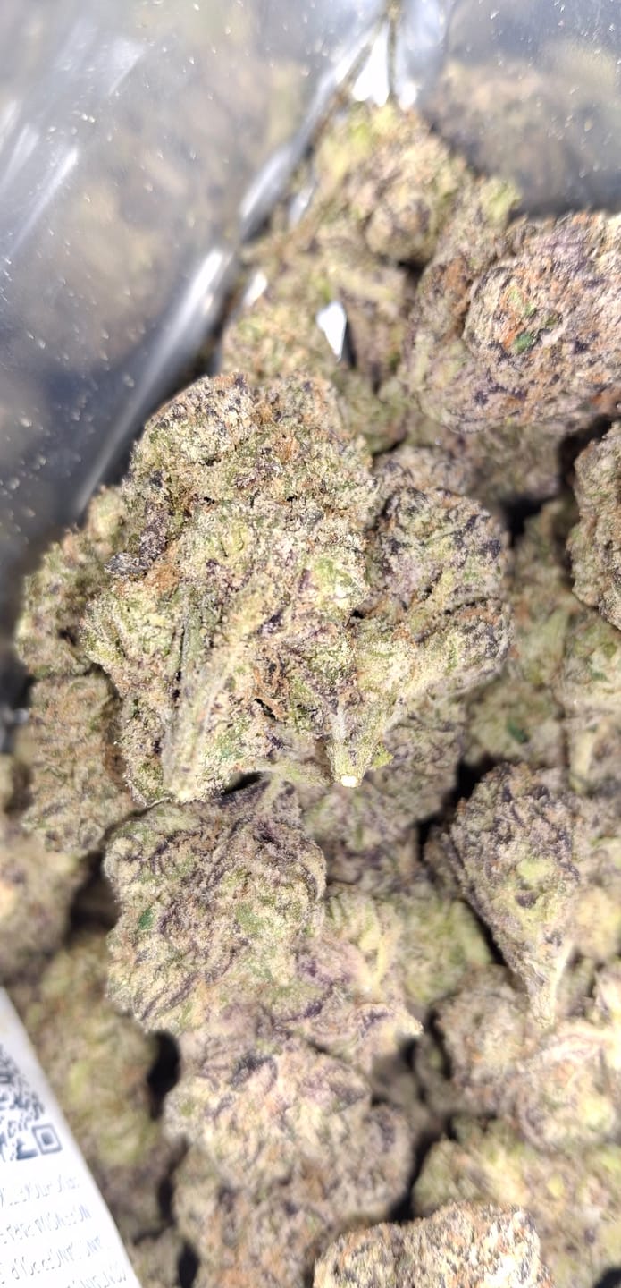 Customer photo review of Mochi