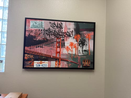 Customer photo review of Pre-installed Premium Hanging Kit
