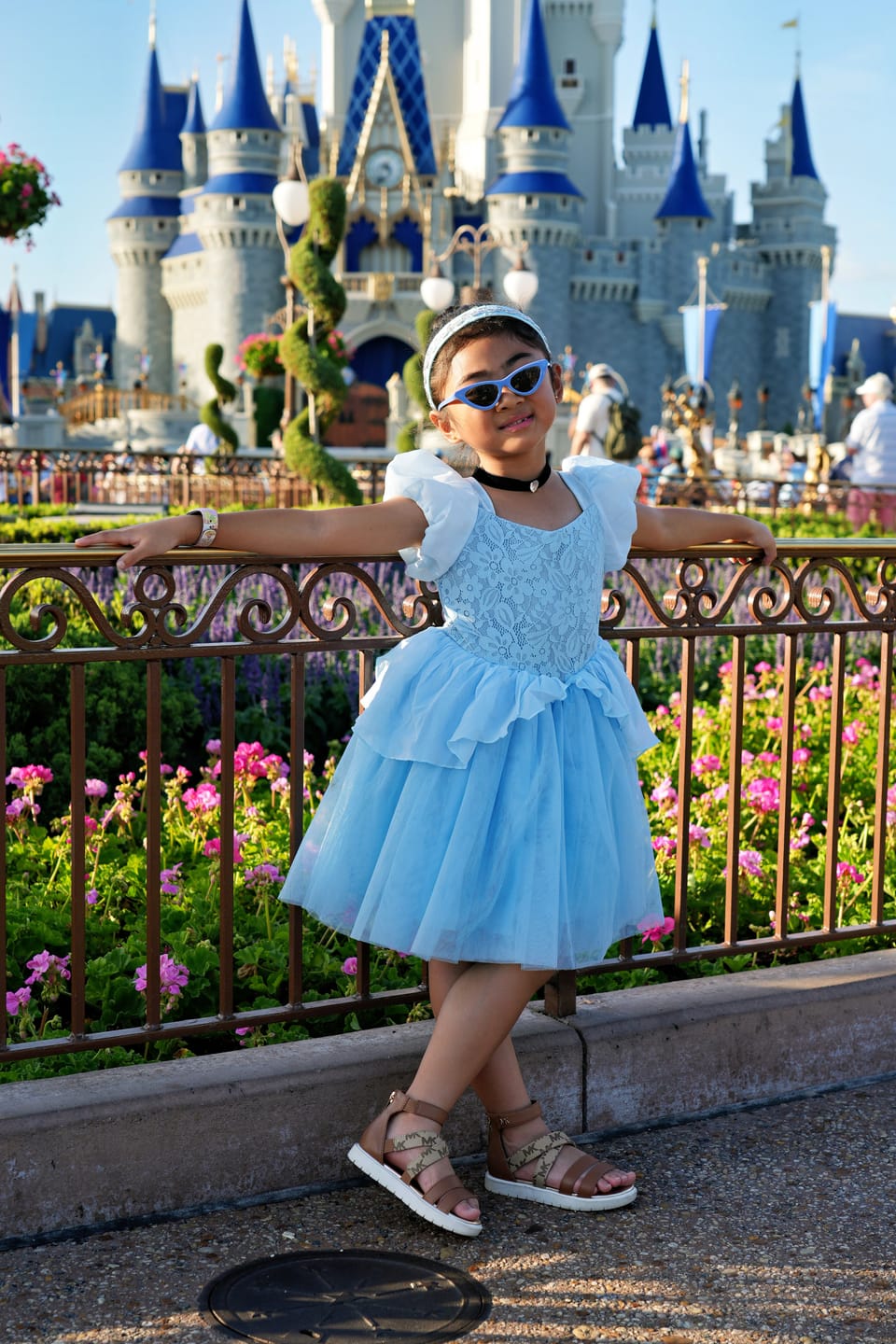 Customer photo review of Portrait Petites Cinderella Twirl Length Gown