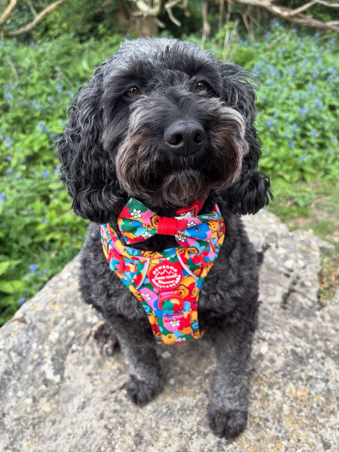 Customer photo review of Disney© Tough Trails™ Harness - Winnie Goes Retro