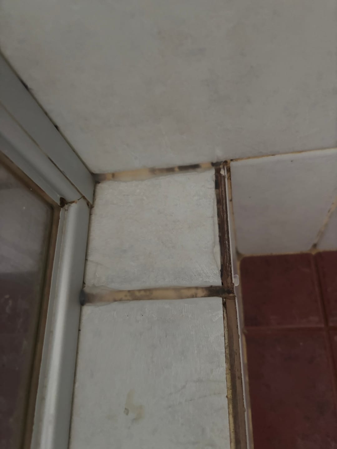 Customer photo review of GLASSGUARD® Miracle Mould Removal Gel