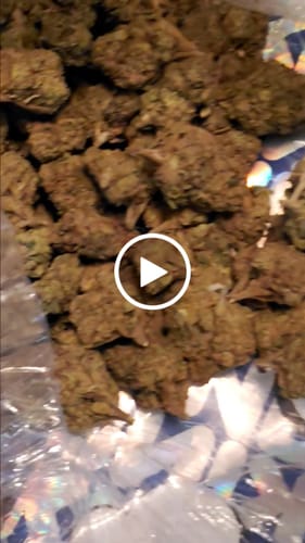 Gelato Kush - Bulk - Indica photo review