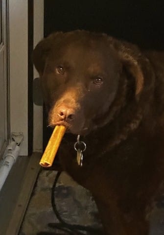 Customer photo review of Erik's Mystery Chew or Treat