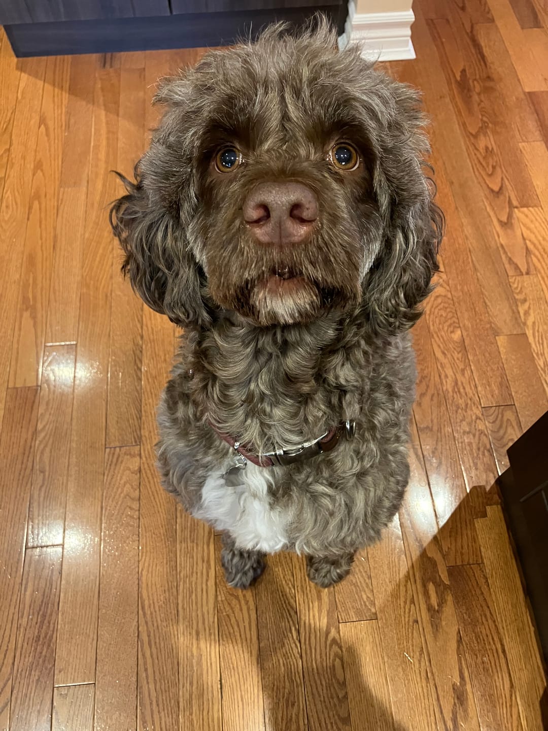 Customer photo review of Small Bully Stick Ring