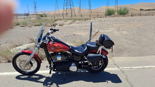 Customer photo review of Harley Dyna Solo Bag - Left Side for Side Mount Plate (Model DL03)