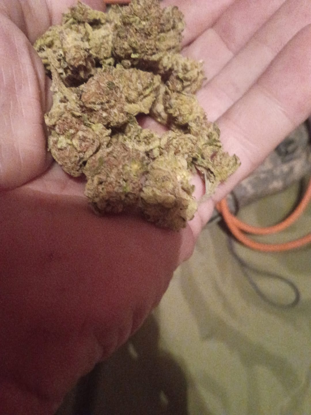 Customer photo review of Watermelon Runtz - Bulk - Indica