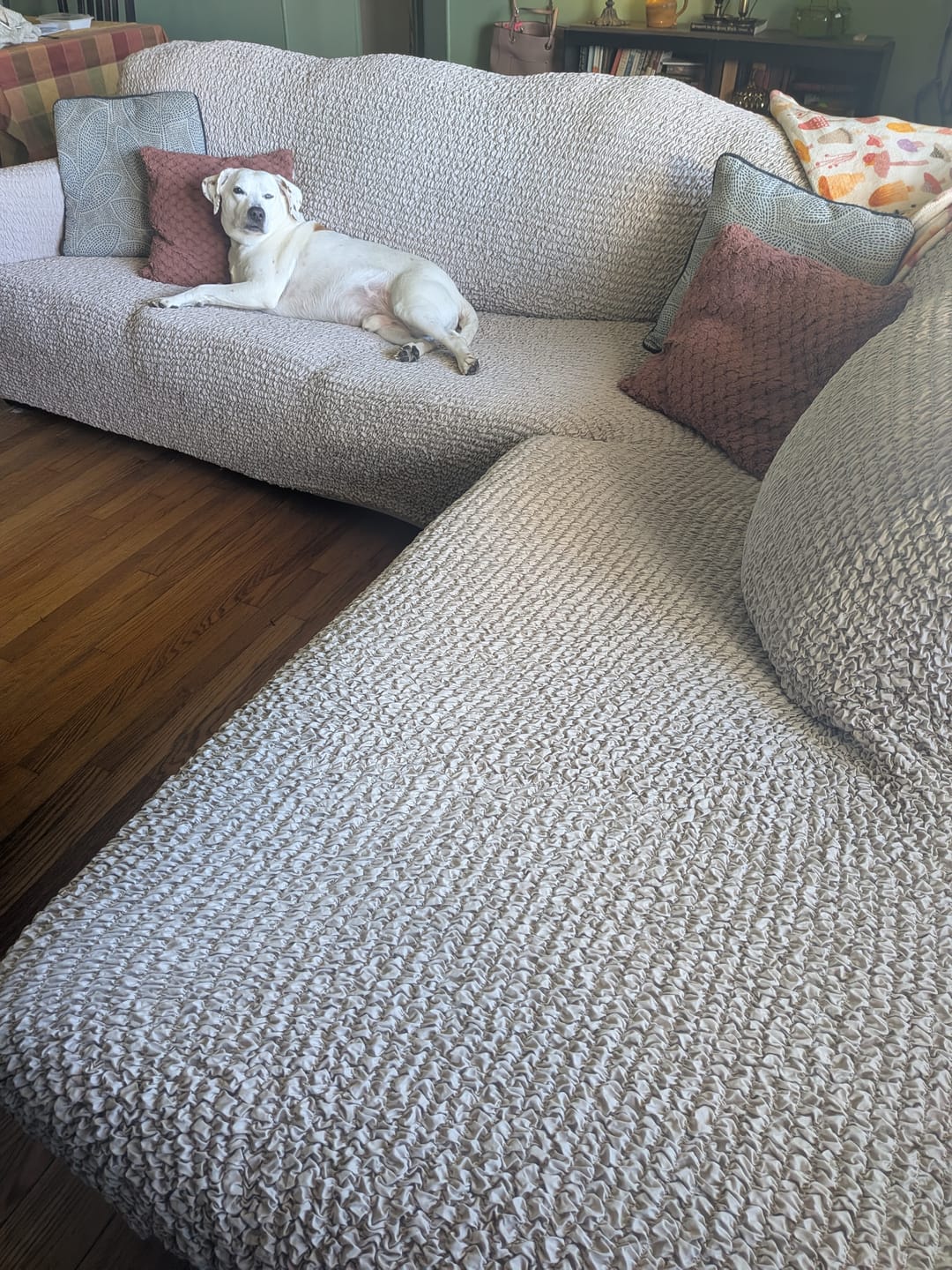 Customer photo review of Fullback Support Sectional Sofa Slipcover (Right Chaise), Comfort Collection