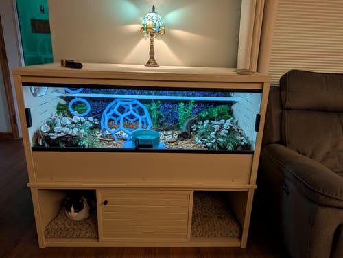 Customer photo review of BlackBox LED with Dimmer Switch - KIT