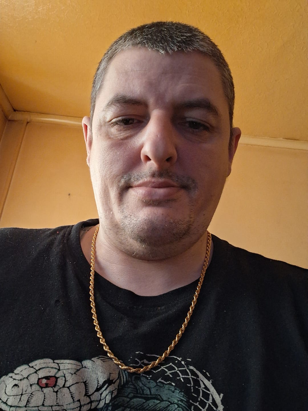 Customer photo review of 4mm Rope Chain - Gold