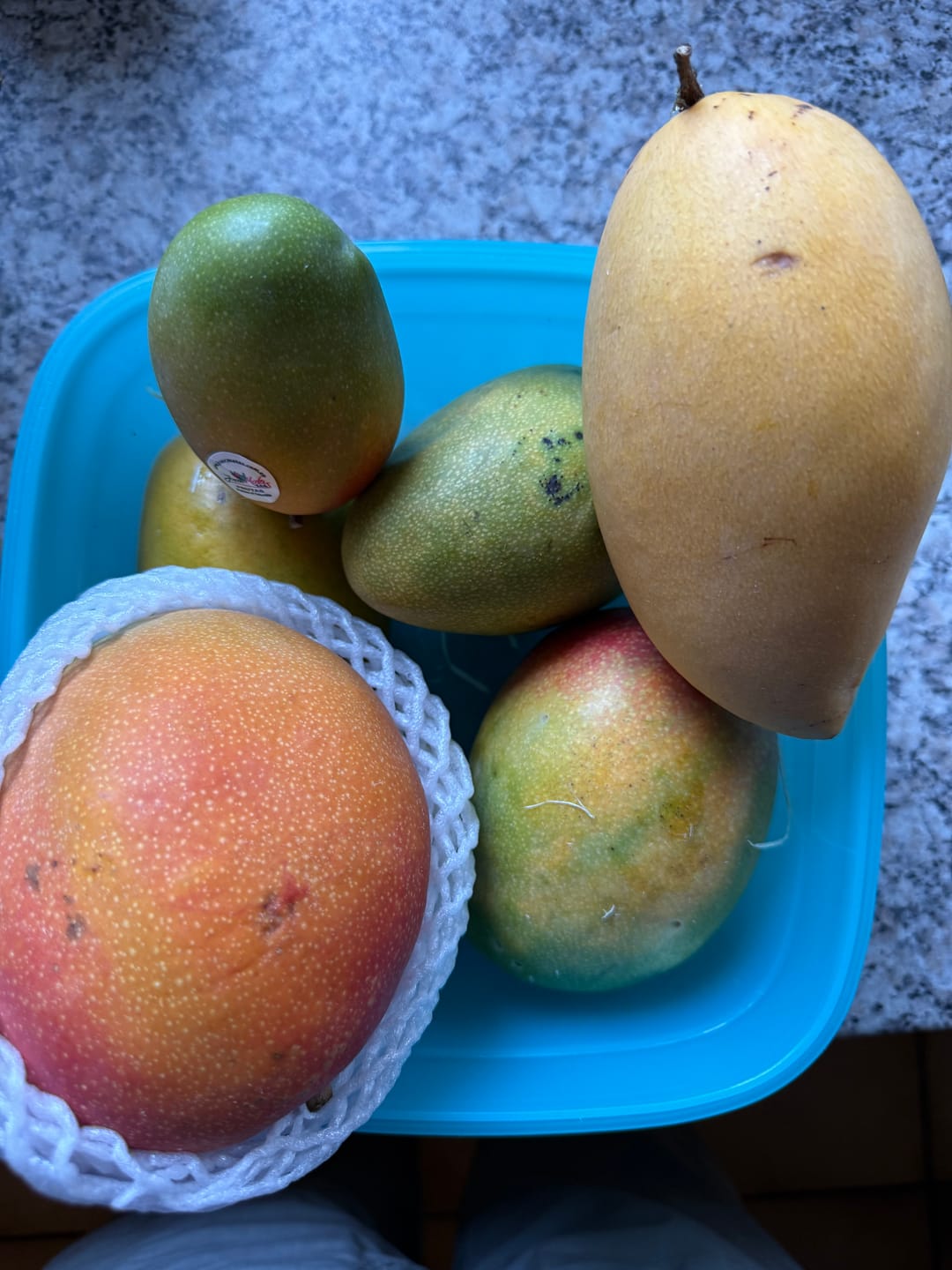 Customer photo review of Mango Entdeckerbox