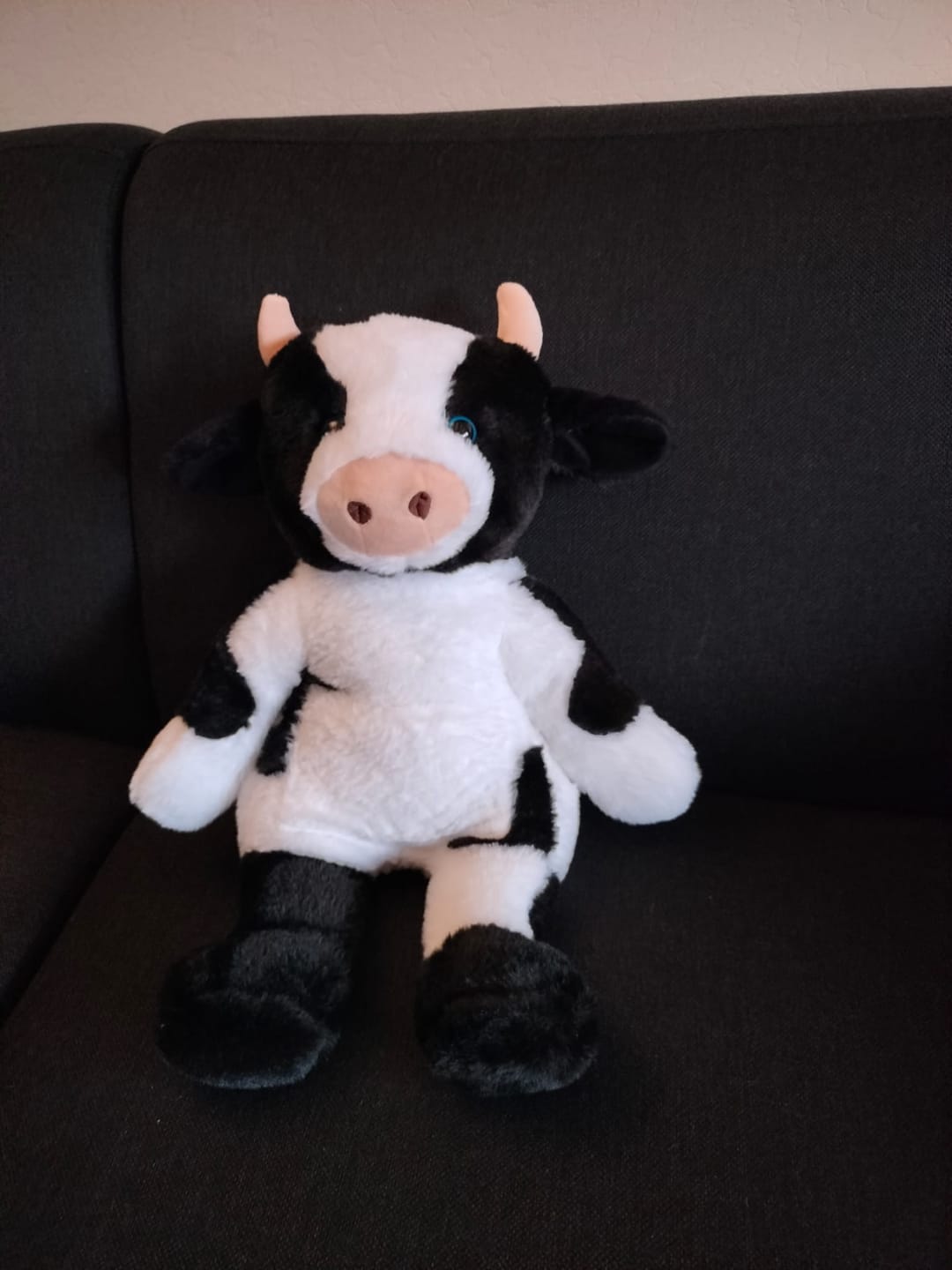Customer photo review of Verzwaringsknuffel Koe 2,2 kg + Gratis Pittenzakje