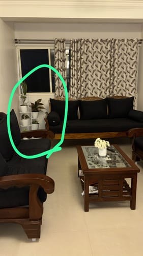 Customer photo review of UnitedCrafts MILO 6 Tier Metal Plant Stand -7 Potted Multiple Shelves