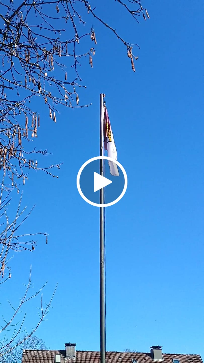 Customer video review of Galway County Crest Flag
