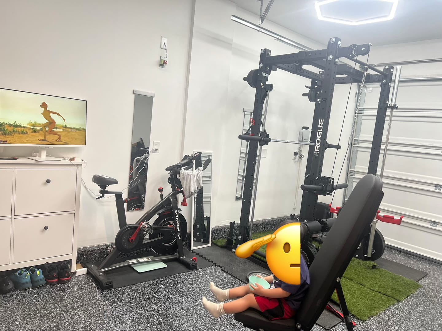 Customer photo review of Revolt Pulley System