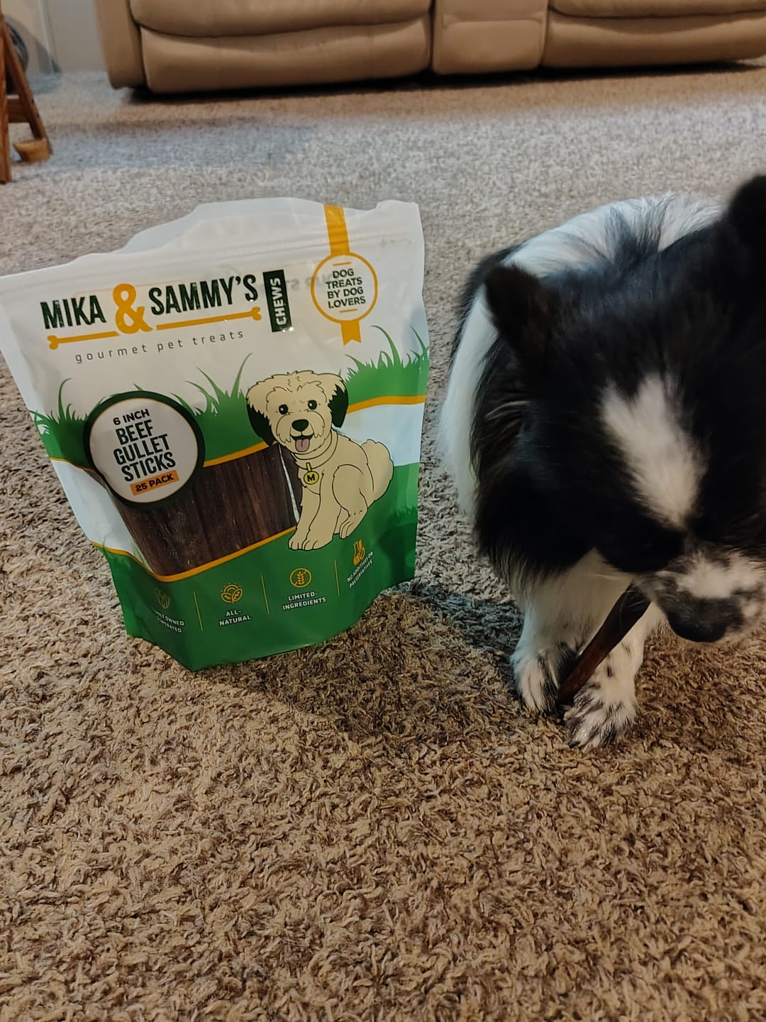 Customer photo review of Beef Gullet Jerky Sticks 6"