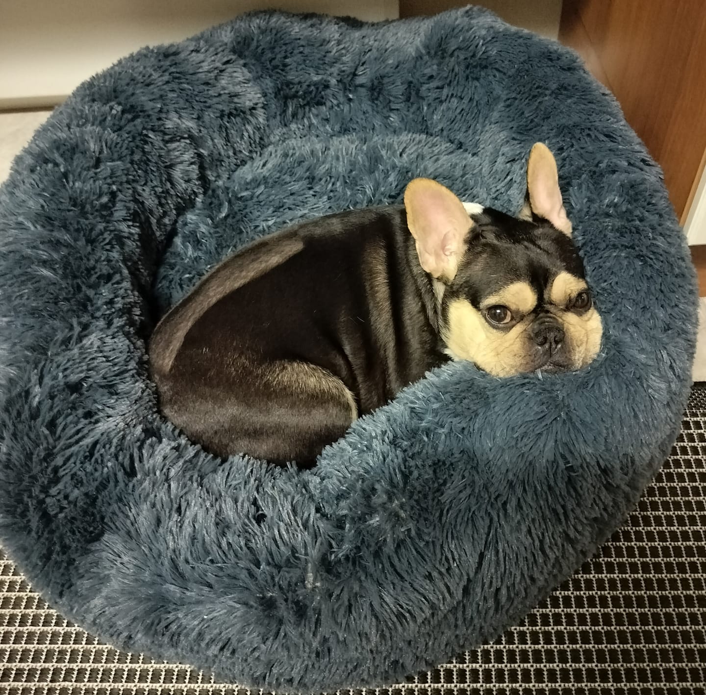 Customer photo review of CalmBed – Ehkäisee stressiä ja lievittää ahdistusta