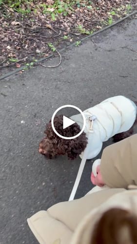 Customer video review of Marshmallow┃Bouclé Poop Bag Holder