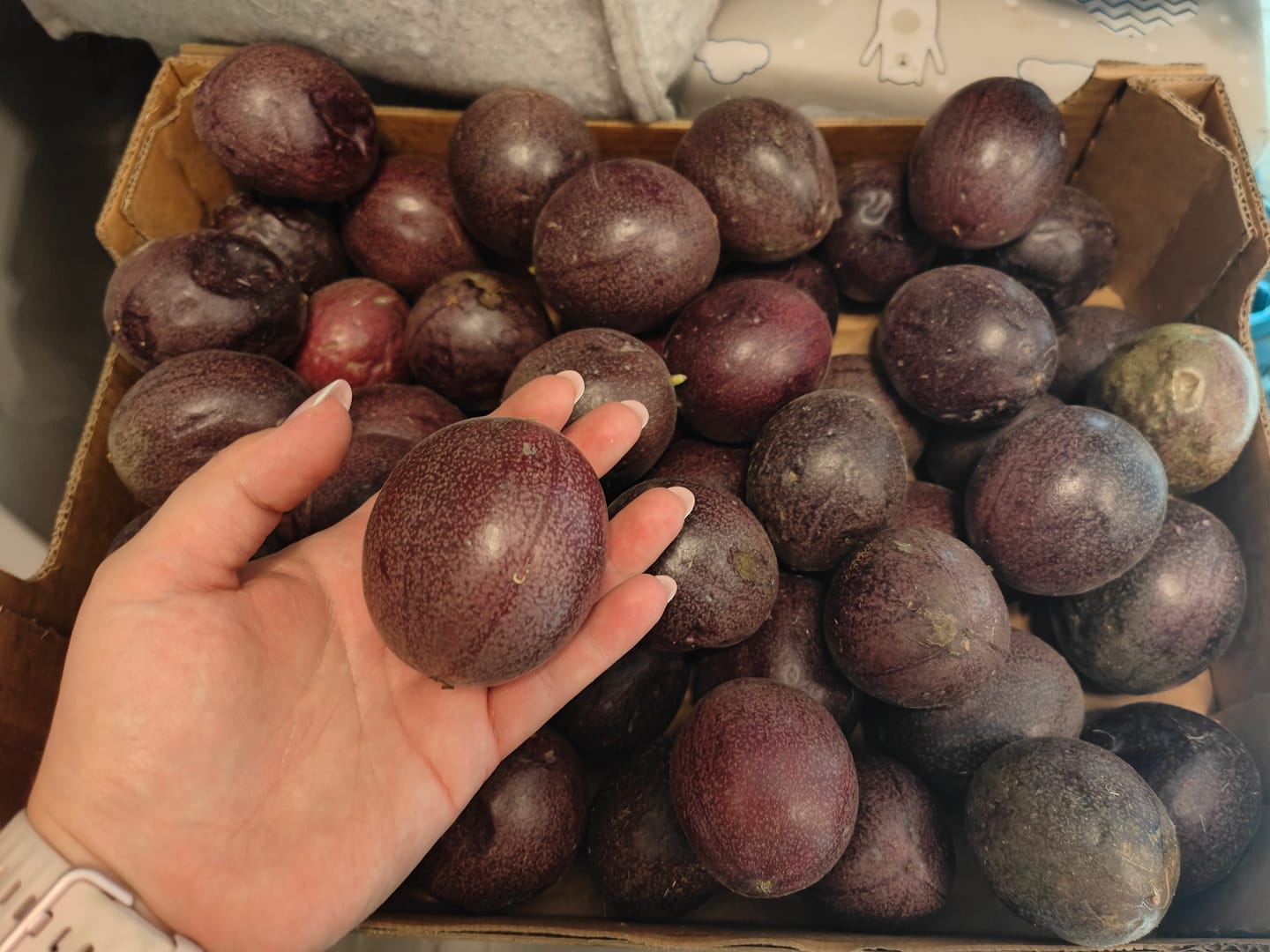 Customer photo review of Passionsfrüchte von Julian Sonderaktion %