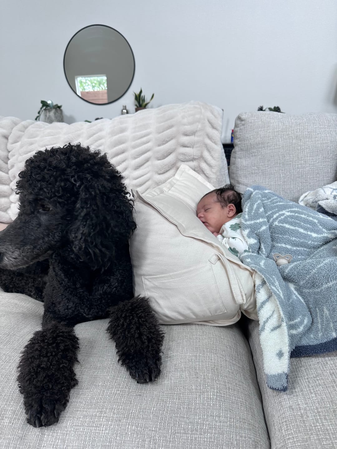 Customer photo review of Peekaboo Pillow | Original