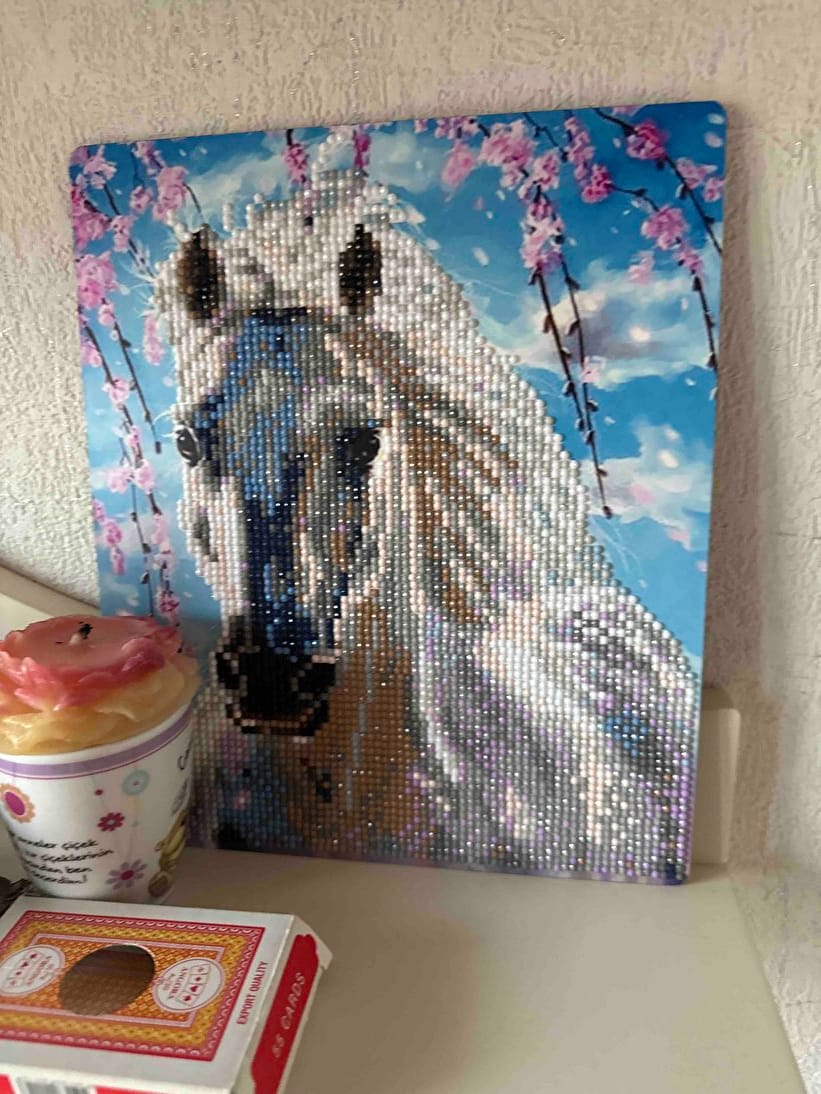 Customer photo review of Elmas Tabloları (40x50)