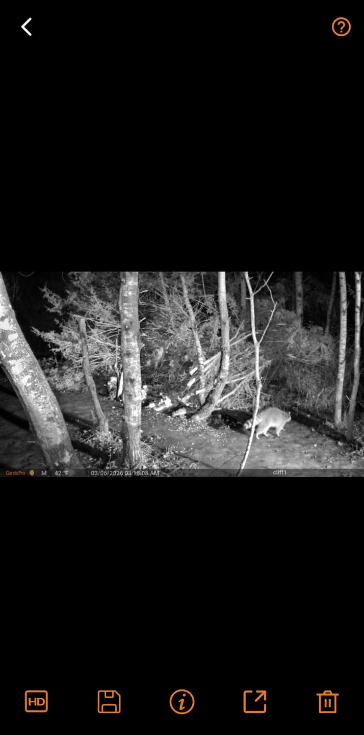 Customer photo review of GardePro Link 1.0 3000ft(1km) Long-Range Wireless Trail Camera