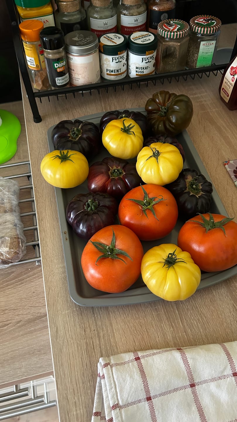 Customer photo review of Tomaten Mix von Julian Box 3kg