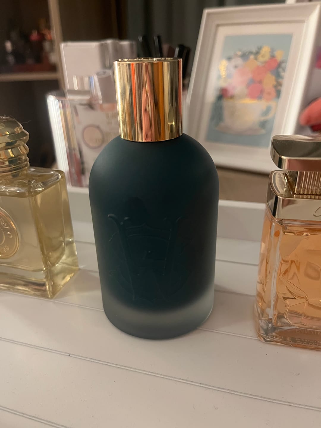 Customer photo review of Surfari