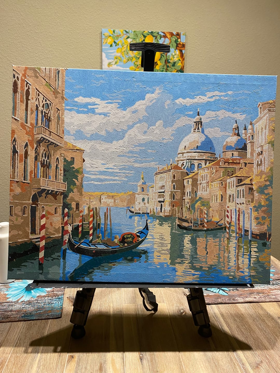 Customer photo review of Venetian Canal