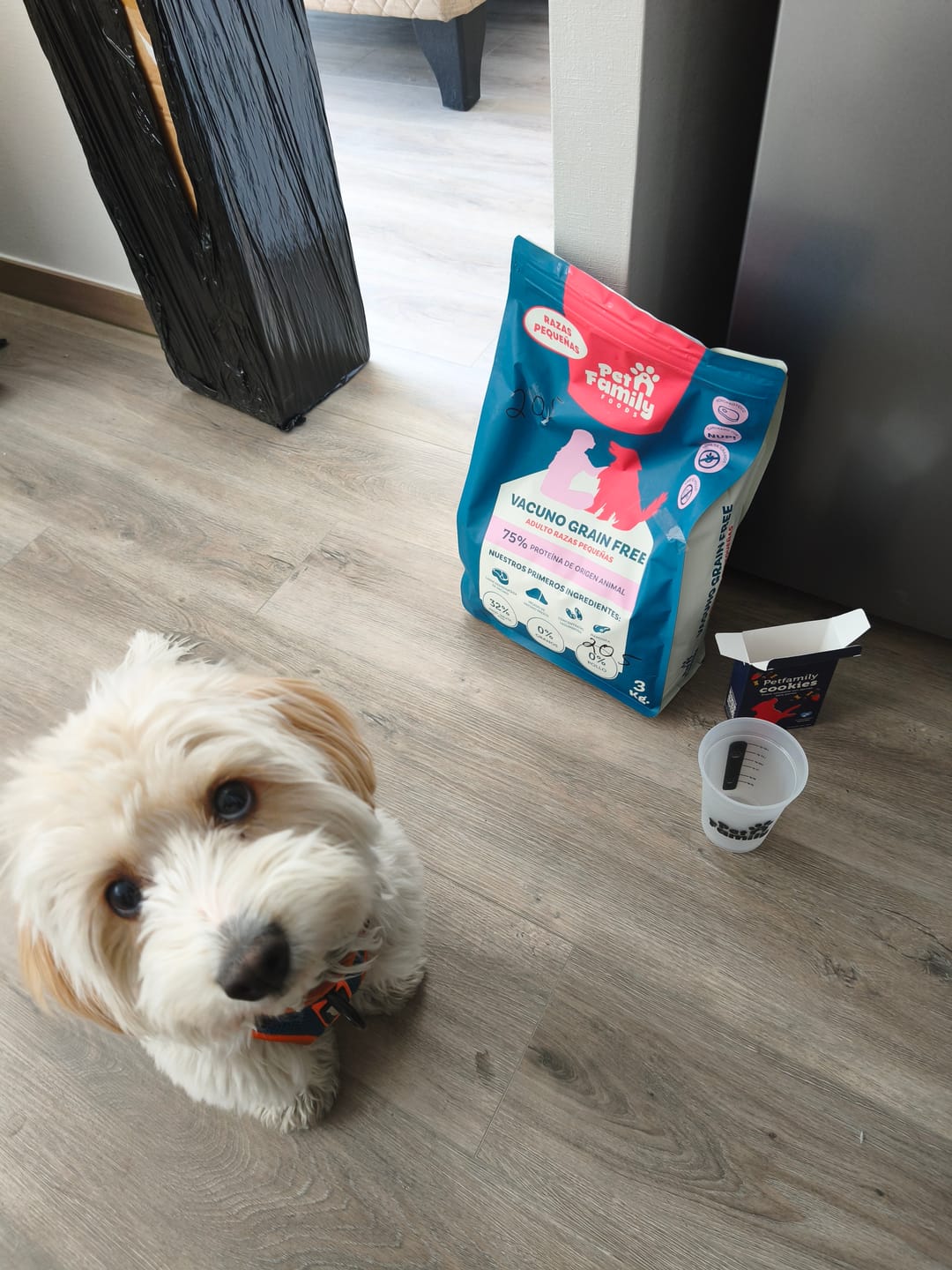 Customer photo review of PetFamily Foods Grain Free