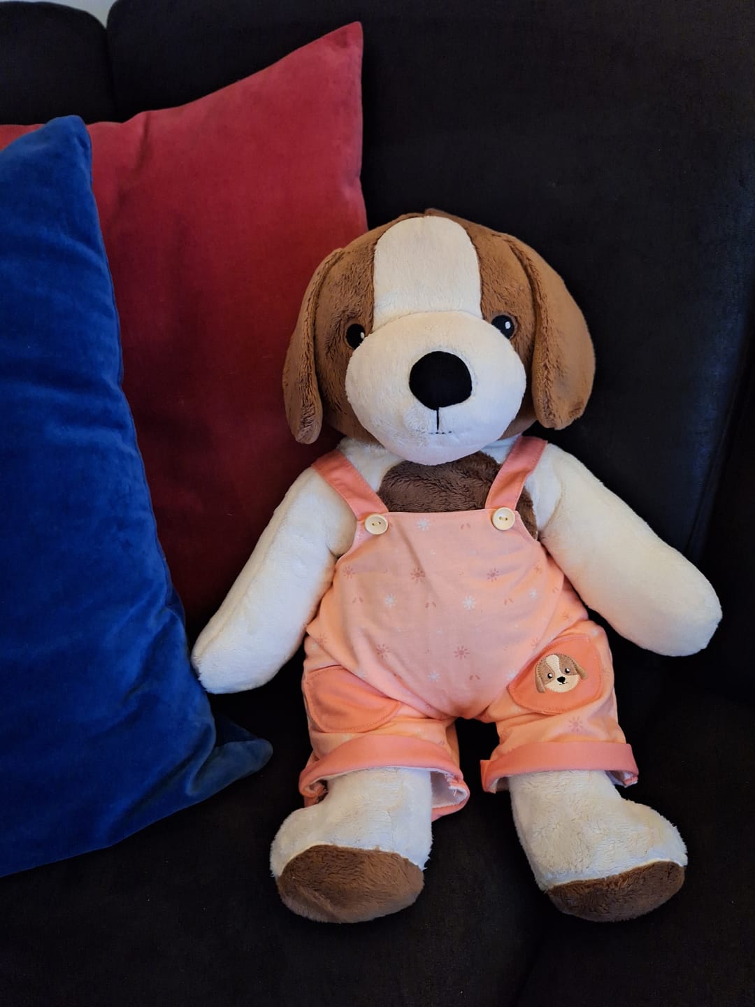 Customer photo review of Hond Kleding Lente Lotgenootje