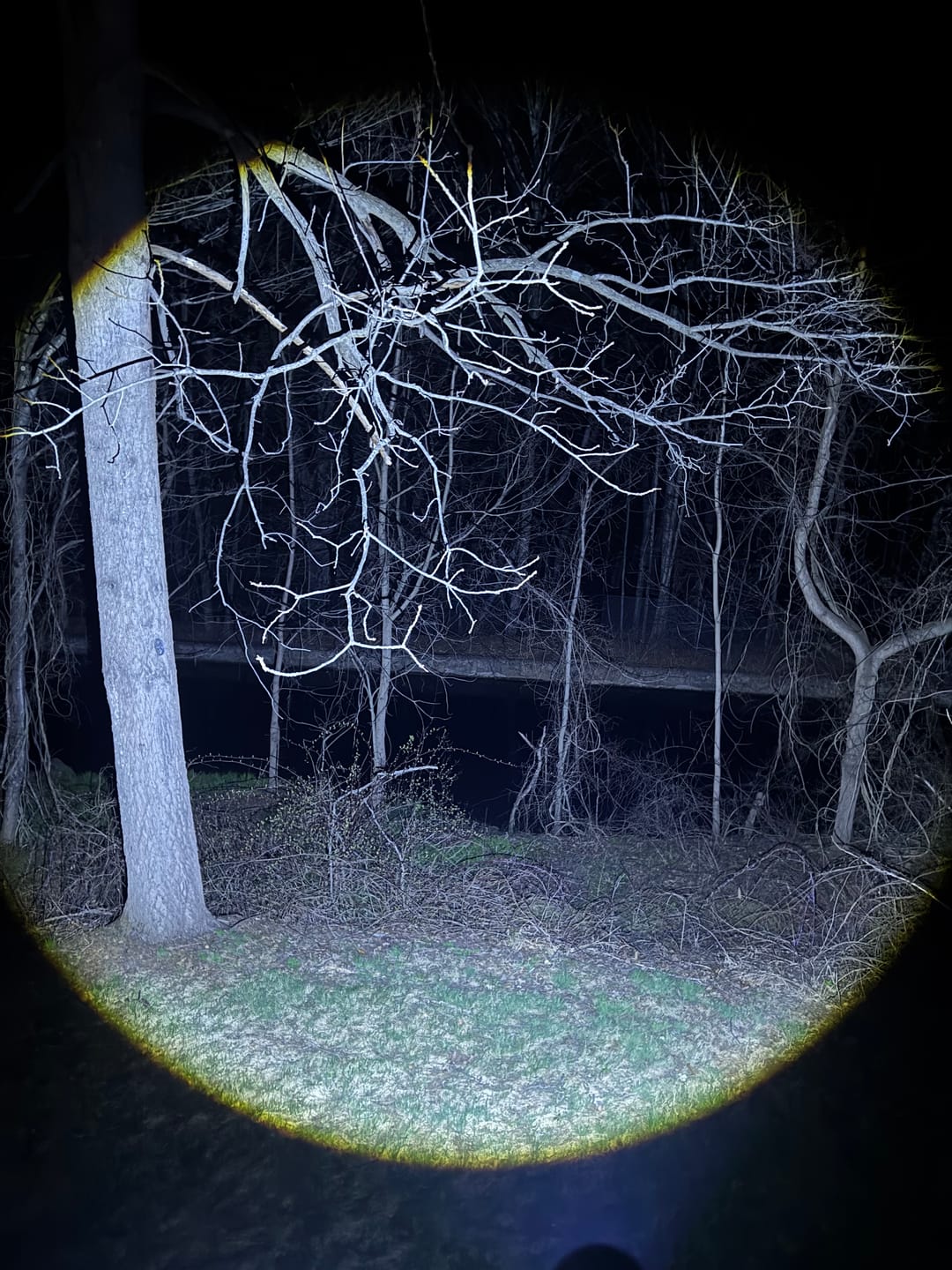 Customer photo review of 80Eighty® Camping Lamp