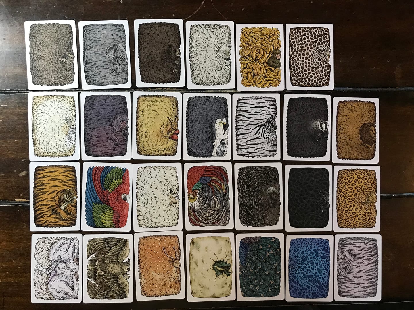 Customer photo review of Zoo 52 Colored Collection Deck by Smooth Writing