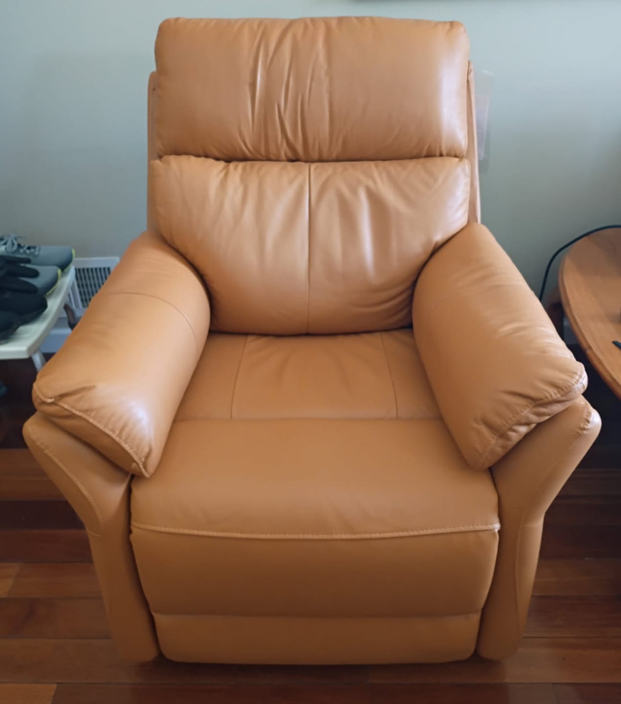 Customer photo review of Airsky Recliner Chair Top-Grain Leather Genuine Leather Ergonomic Armchair Sofa for Adults R1