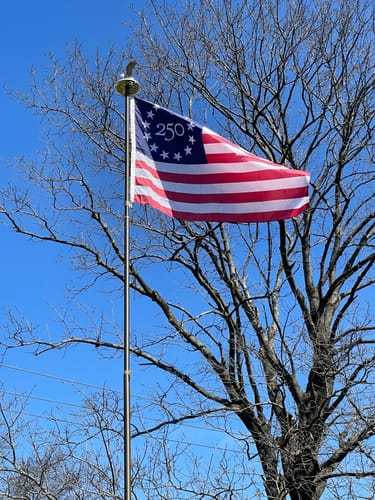 Close-up of a reviewer's America 250™ Betsy Ross Flag waving on a flagpole against a clear blue sky and bare tree.