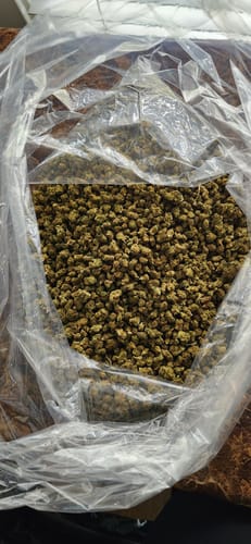 Mochi Gelato - Bulk - Indica photo review