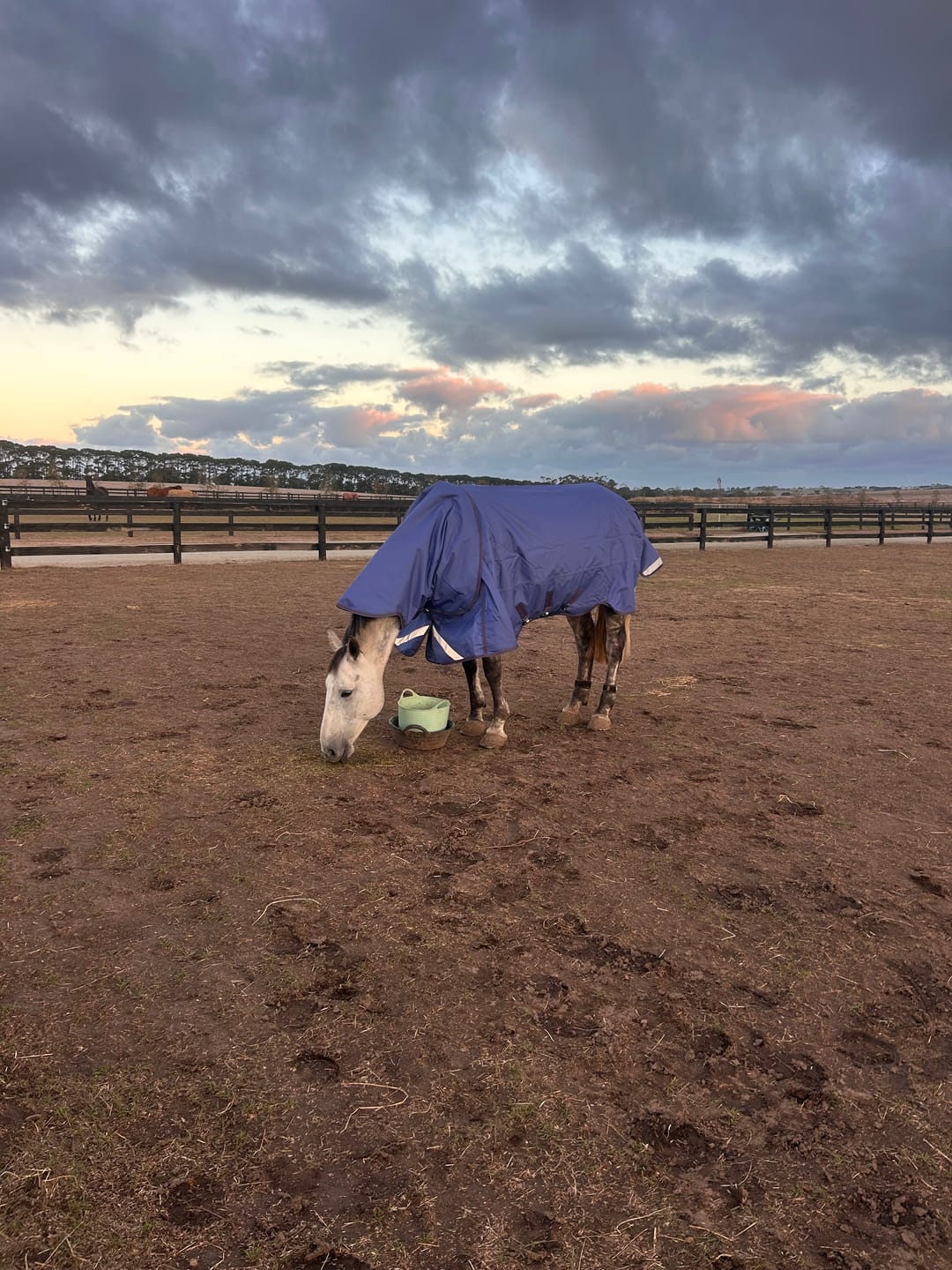 Customer photo review of LE Boxter Turnout 100g
