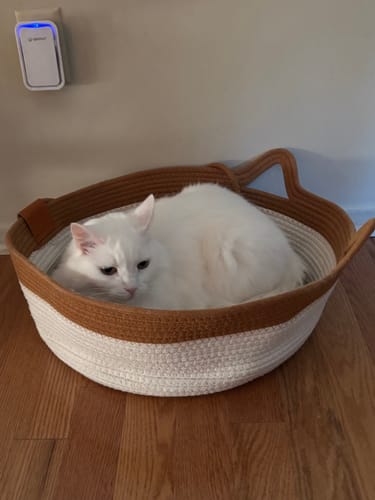 Customer photo review of Instinct Basket | Meet the first research-backed natural territory for indoor cats