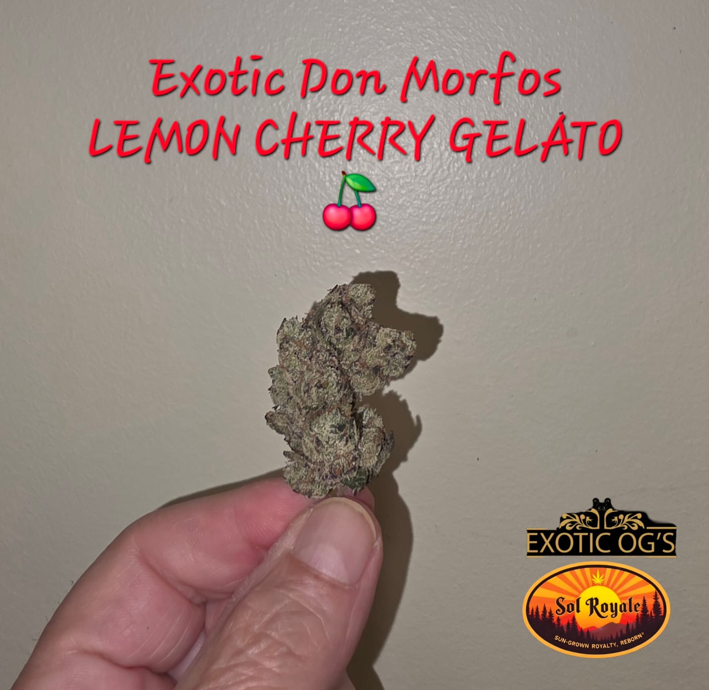 Customer photo review of Elite Boutique Exotics - Don Murfos LCG - 14 Grams - Hybrid